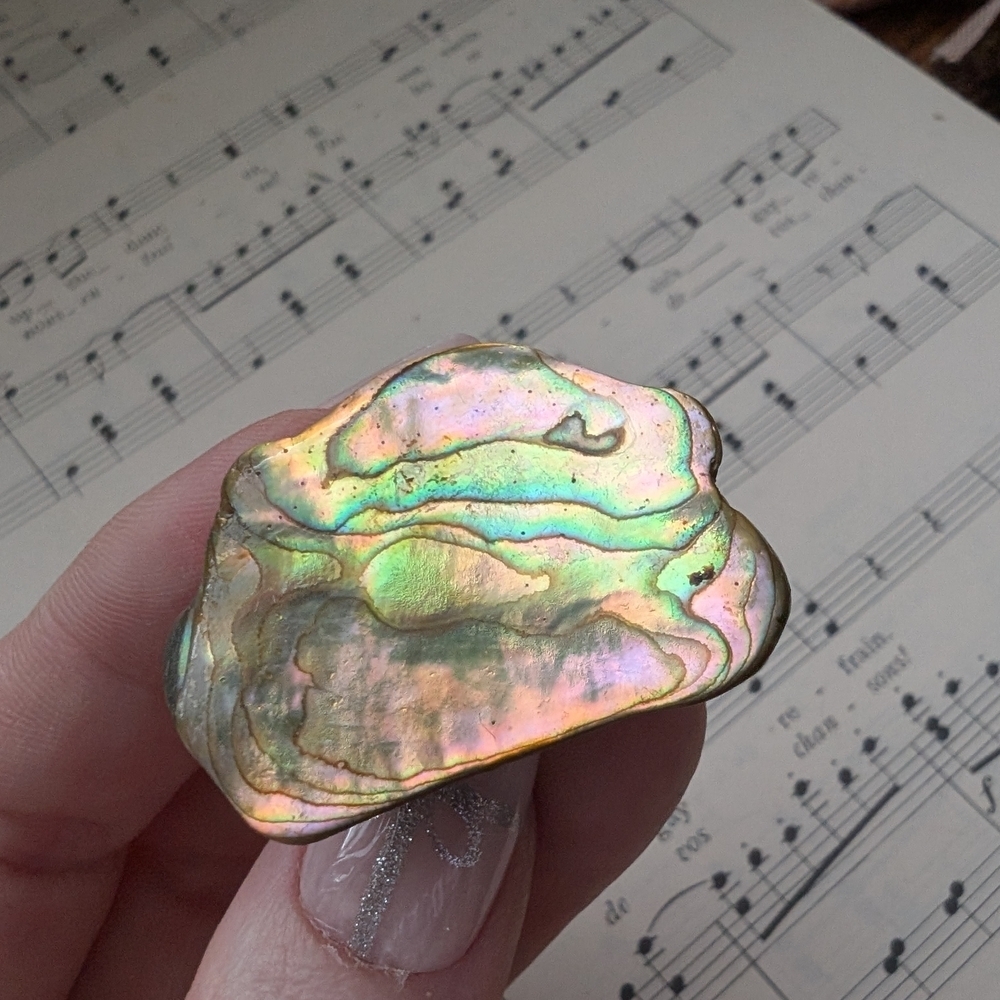 Iridescent Abalone Shell Brooch